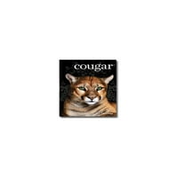 Cougar lbs. Digitalni Smooth Cover 1 2 11 Prirodno Bijeli 250 Ream 7738