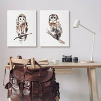 Stupell Industries sede Owl Wildlife portrait painting Gallery Wrapped Canvas Print Wall Art, Set od 2,