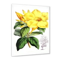 DemandArt 'zeleni listovi sa tropskim žutim cvjetovima II' tradicionalni uokvireni umjetnički otisak
