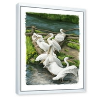 Designart' pelikani odmaraju se u blizini riječne vode ' tradicionalni uramljeni platneni zidni umjetnički