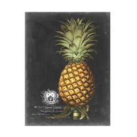 George Brookshaw 'Royal Brookshaw Ananas I' Platno Umjetnost