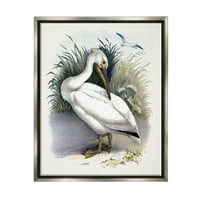 Stupell Industries Bijela ptica Pelican Preening travnata Obala obale rijeke slika sjaj sivo plutajuće