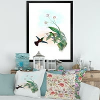 Designart' Historic Hummingbird Flying To A Flower ' Tradicionalni Uokvireni Umjetnički Print