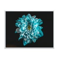 Designart 'krupni plan cvijeta s bijelim i plavim laticama' tradicionalni uramljeni platneni zidni umjetnički