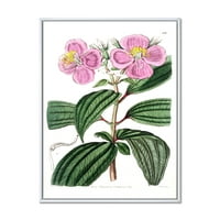 Drevni biljni život XXIII uokvirena slika na platnu umjetnička štampa