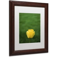 Zaštitni znak likovne umjetnosti usamljeni žuti tulip platno umetnost Kurt Shaffer, bijeli mat, drveni