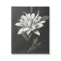 Stupell Industries tradicionalna Galerija grafike bijelog cvijeta Dalije sa omotanim platnom Print Wall Art, dizajn Nina Blue