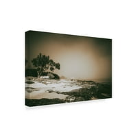 Zaštitni znak Likovna umjetnost' obalna magla ' platnena Umjetnost Pixie Pics