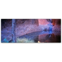 Zaštitni znak Likovna umjetnost Mutitjulu Waterhole-Uluru Umjetnost platna Davida Evansa