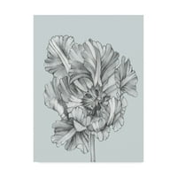Zaštitni znak likovne umjetnosti 'srebrnasto plavi tulipani I' umjetnost na platnu Jennifer Goldberger