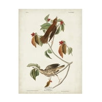 John James Audubon' Drvo Drozd ' Platno Art