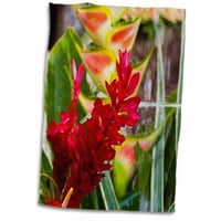 3dRose Dominica, Roseau, heliconia, cvijeće crvenog đumbira-CA WBI-Walter Bibikow-ručnik, by